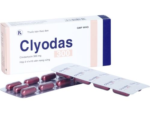  Clyodas 300 hộp 2 vỉ Bình Định 