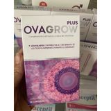  Ova Grow Hộp 30 viên Ý 