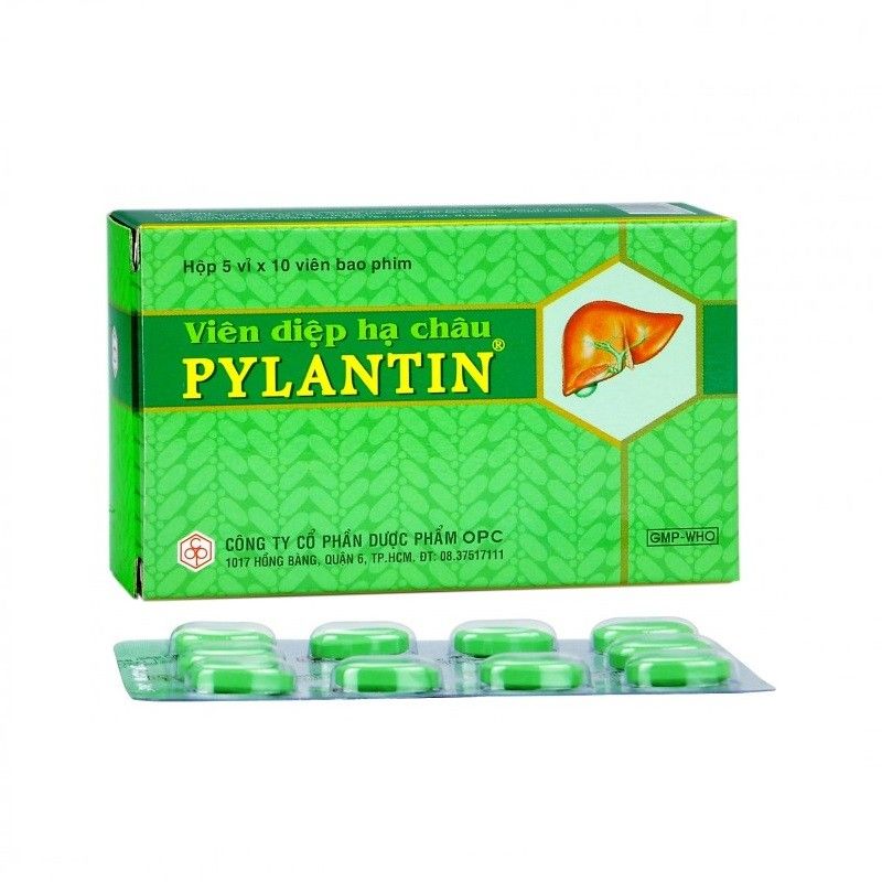  Viên diệp hạ châu PYLANTIN hộp 50 viên OPC 