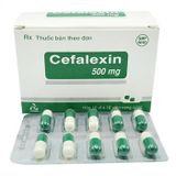  Cefalexin Cephalexin 500mg hộp 100 viên Trà Vinh 
