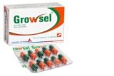  Growsel Hộp 3 vỉ RS VN 