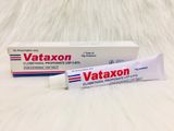  Vataxon Clobetasol propionate 0,5mg/g tuýp 15g 