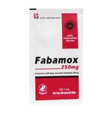  Fabamox 250mg hộp 12 gói Pharbaco 