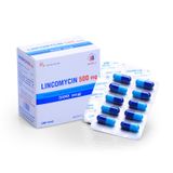 Lincomycin 500mg hộp 20 vỉ  * 10 viên Domesco 