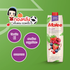 Nước Ép Berry Và Trái Cây Hỗn Hợp Malee 1L - Nhập Khẩu Thái Lan | Malee 100% Berry Juice Mixed Fruit Juice 1L
