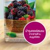 Nước Ép Berry Và Trái Cây Hỗn Hợp Malee 1L - Nhập Khẩu Thái Lan | Malee 100% Berry Juice Mixed Fruit Juice 1L