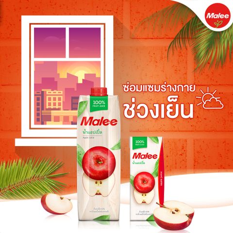 Nước Ép Táo Malee 200ml - Nhập Khẩu Thái Lan | Malee 100% Apple Juice 200ml