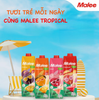 Nước Ép Hỗn Hợp Dâu Tây Và Nho Trắng Malee Tropical 1L - NK Thái Lan | 20% Strawberrry Juice Mixed White Grape Juice 1L