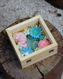  Hộp Hoa Sáp Thơm Gỗ Cao Cấp Tinh Dầu Thiên Nhiên 