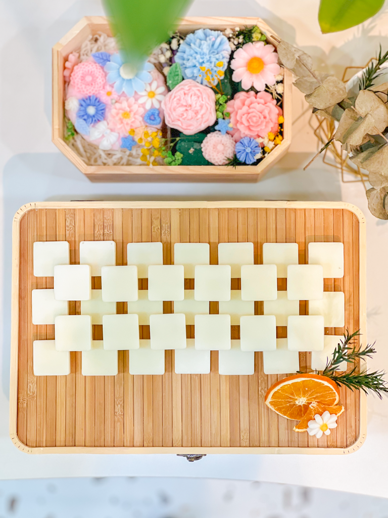  Sáp thơm tinh dầu đuổi muỗi gián côn trùng, khử mùi tủ bếp, tủ giày thiên nhiên, an toàn Fresh Home Lab 