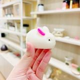  Sáp đuổi côn trùng hình thỏ, hình heo dễ thương, sáp thơm tinh dầu khử mùi, làm thơm, hút ẩm - Fresh Home Lab 