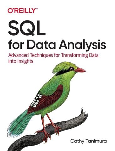  SQL for Data Analysis 