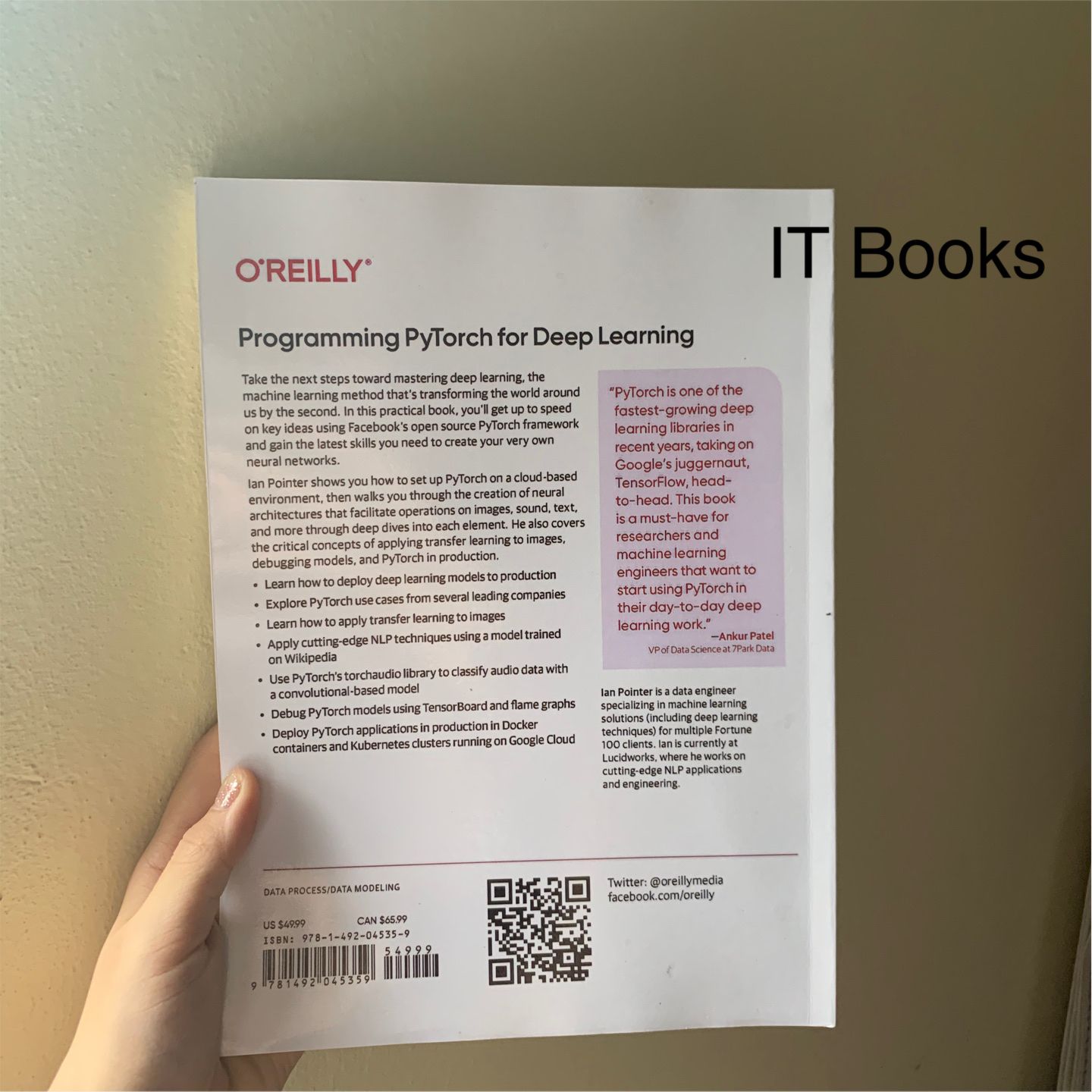 Programming pytorch for deep learning it books