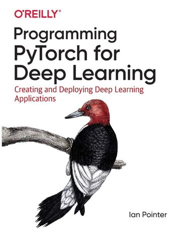  Programming PyTorch for Deep Learning 