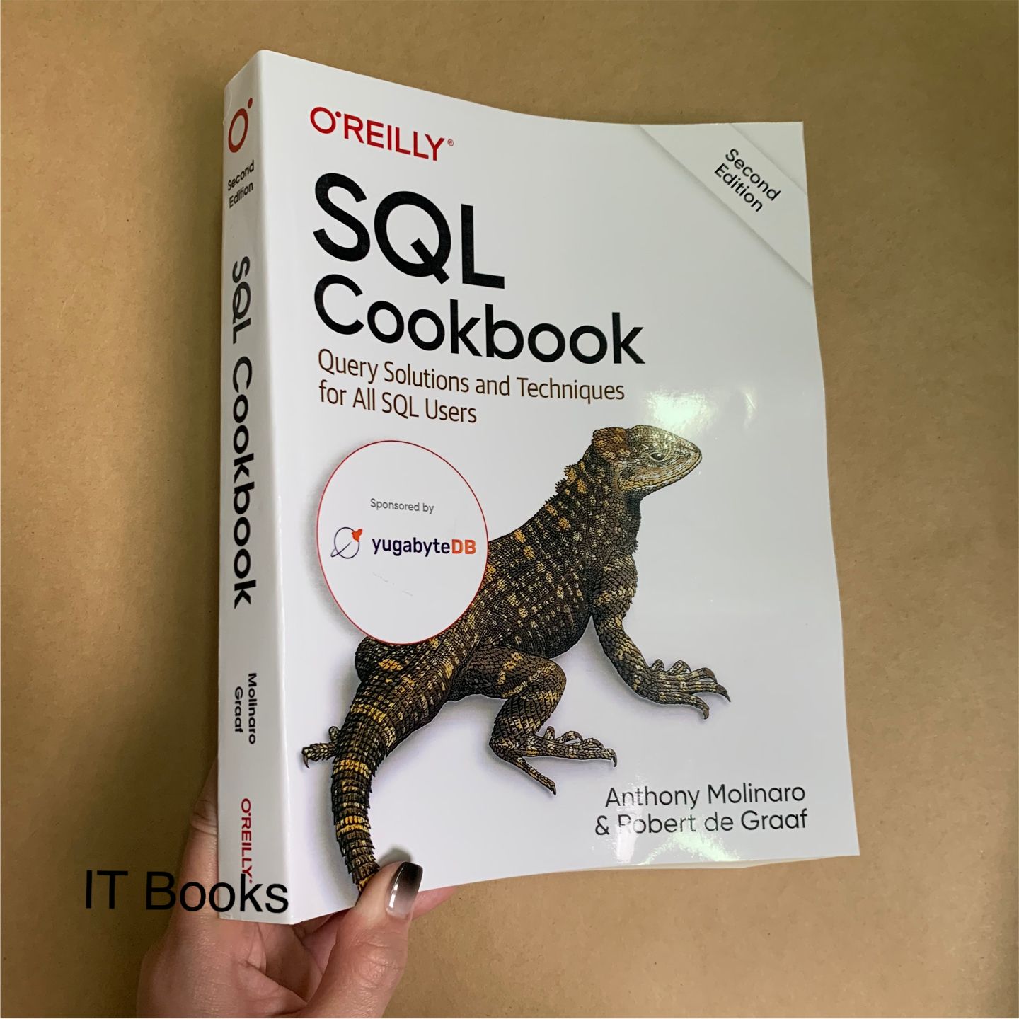 SQL Cookbook 2nd – IT Books