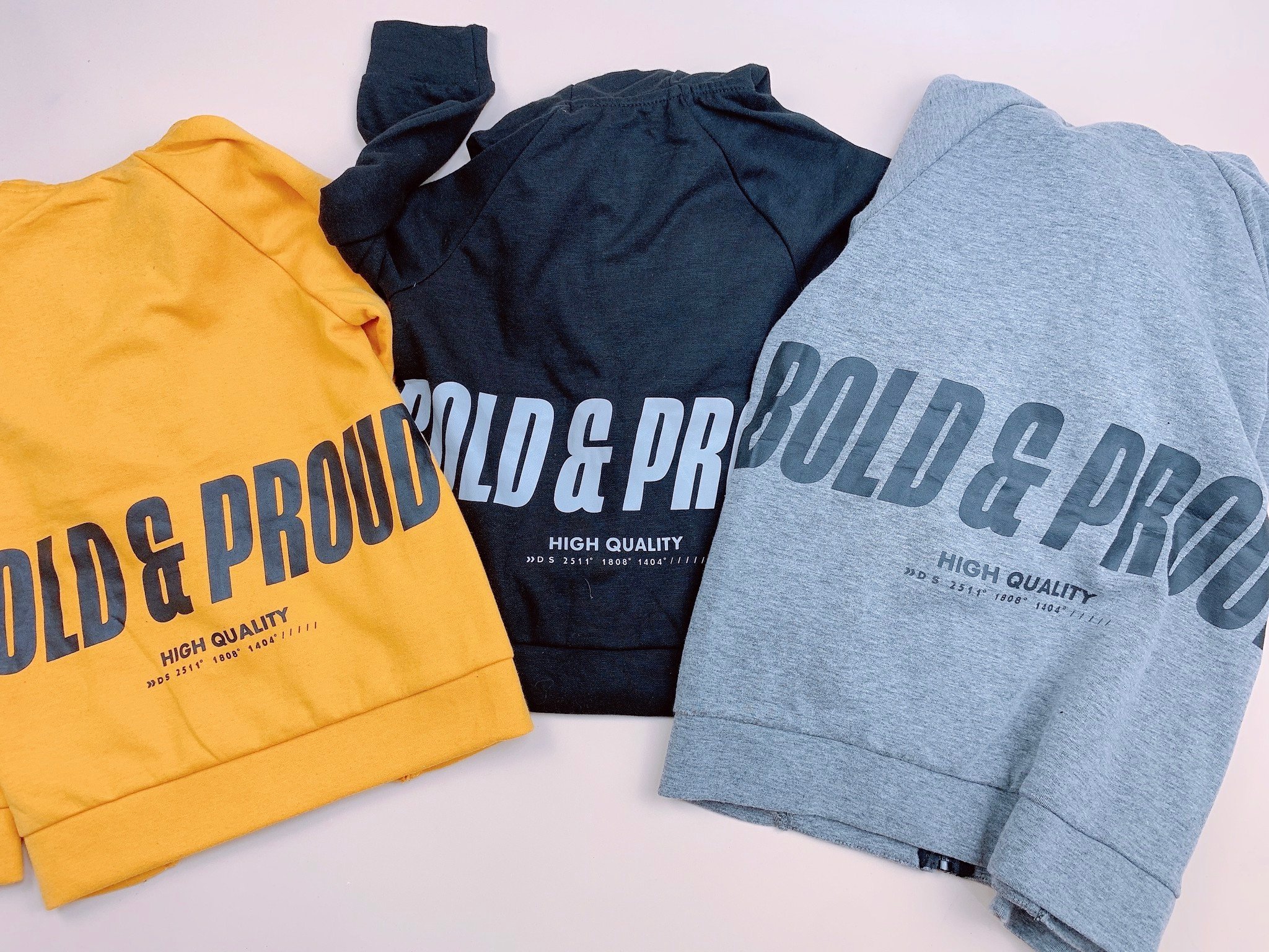 Áo khoác nỉ DS chữ lưng Bold & Proud 3 màu BT