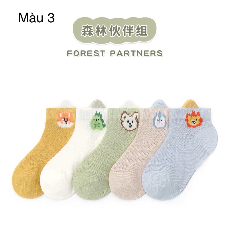 Set 5 tất lưới Nice BTBG size 1-8y