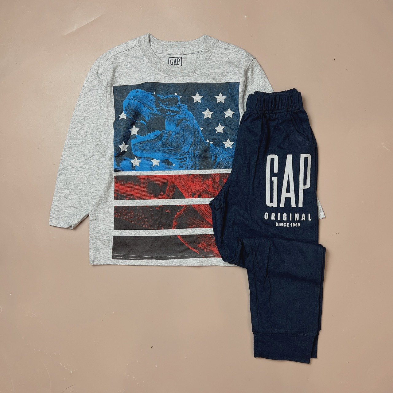 Bộ cotton Gapkids vải dư dài tay nhiều hình BT 5 - 16y