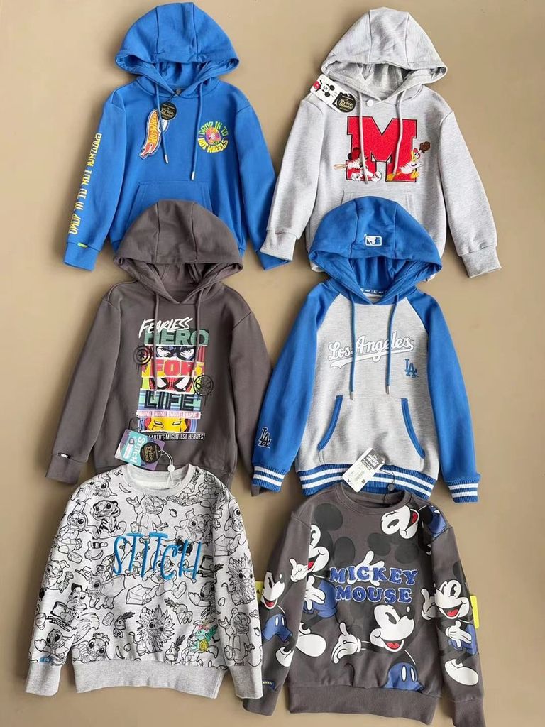 Áo nỉ da cá Hollyland dư xịn nhiều màu cho bé trai size 3-12y