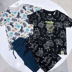 Bộ cotton Delta dư xịn hoạ tiết khủng long, Spongebob size 4y-XXL