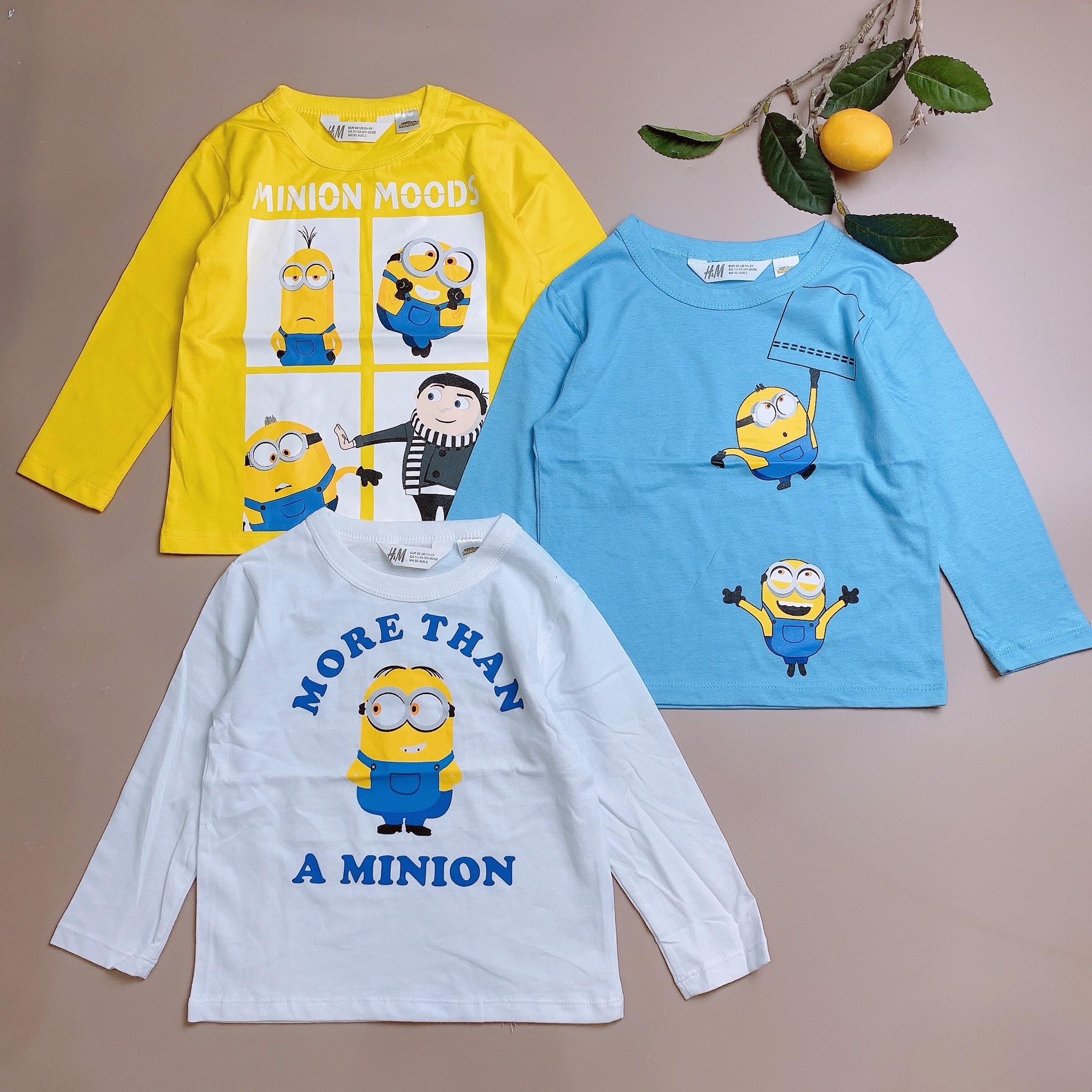 Áo cotton dài tay H&M bé trai - Minion Xanh / Trắng / Vàng