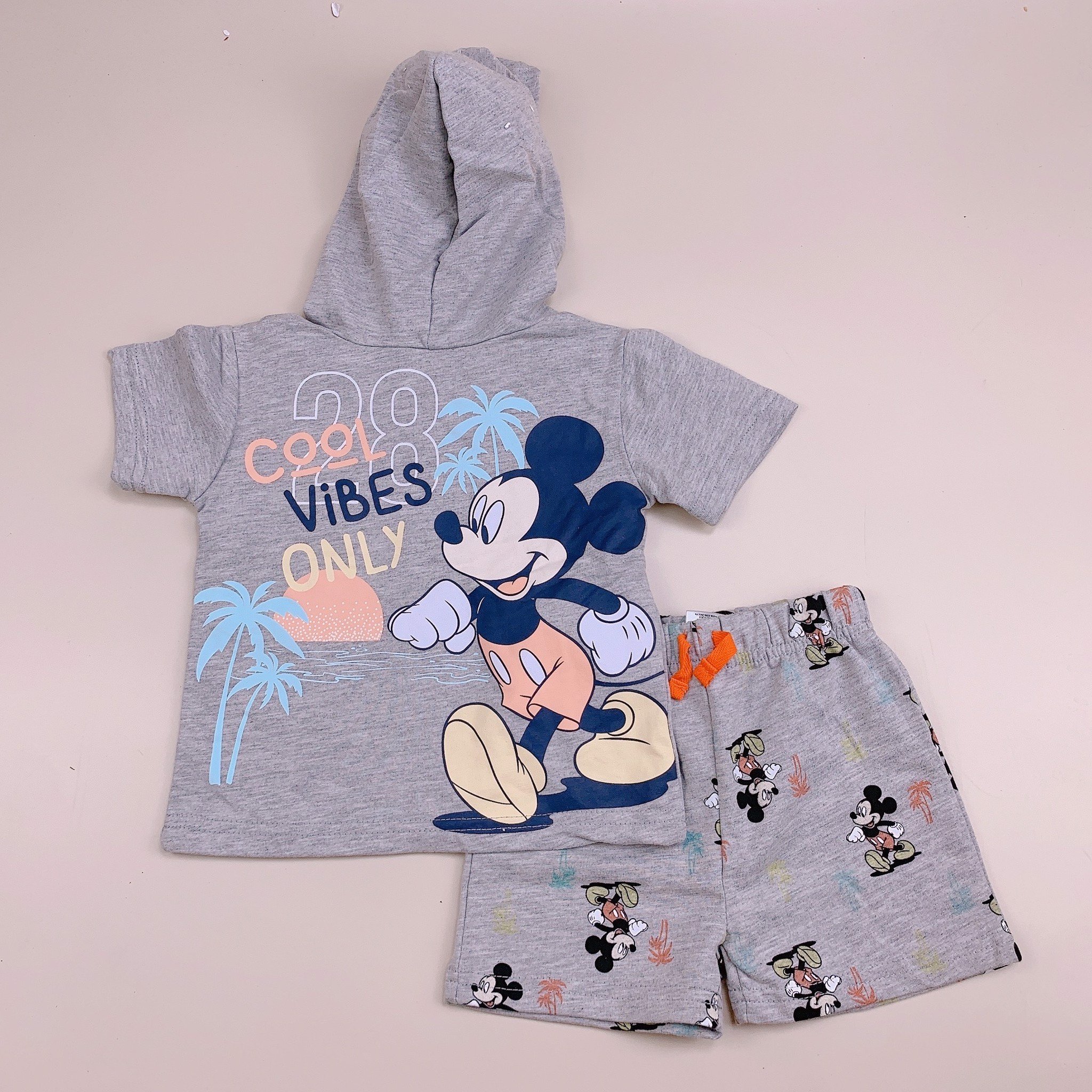 Bộ cotton Disney Baby áo có mũ nhiều hình BTBG