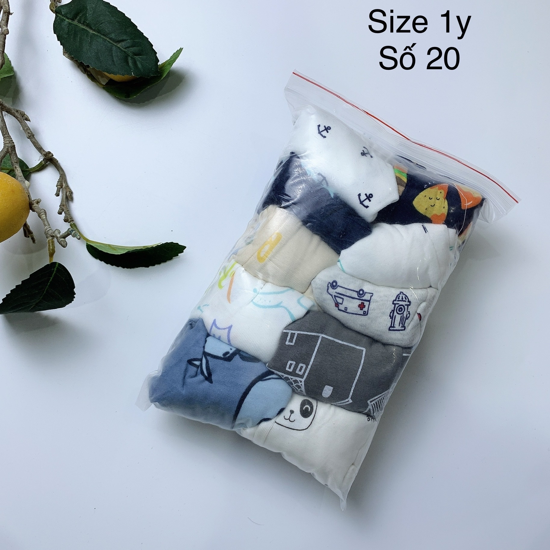 [1y] Quần chục bé trai size 1y - số 13 đến 24