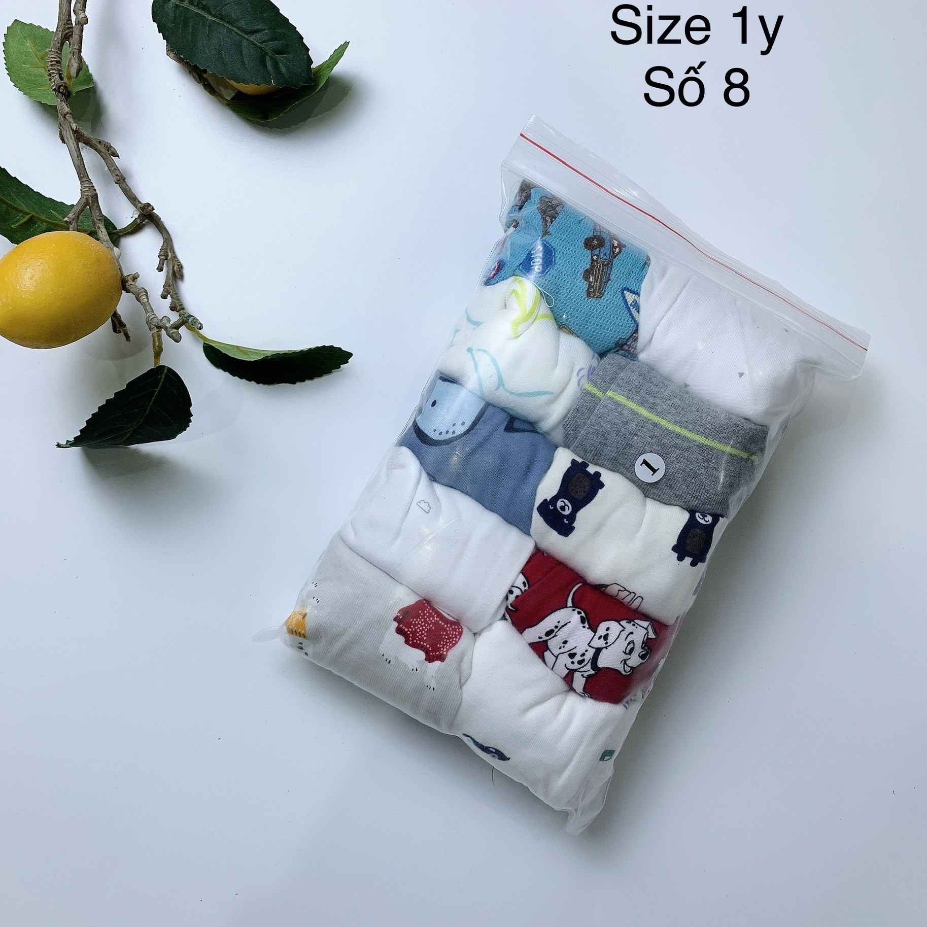 [1y] Quần chục bé trai size 1y (số 1-12)