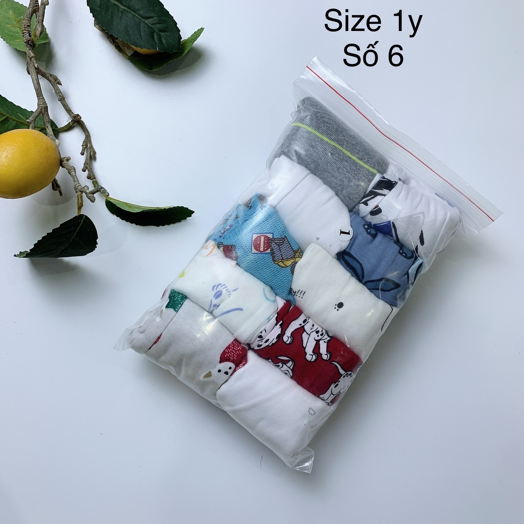 [1y] Quần chục bé trai size 1y (số 1-12)