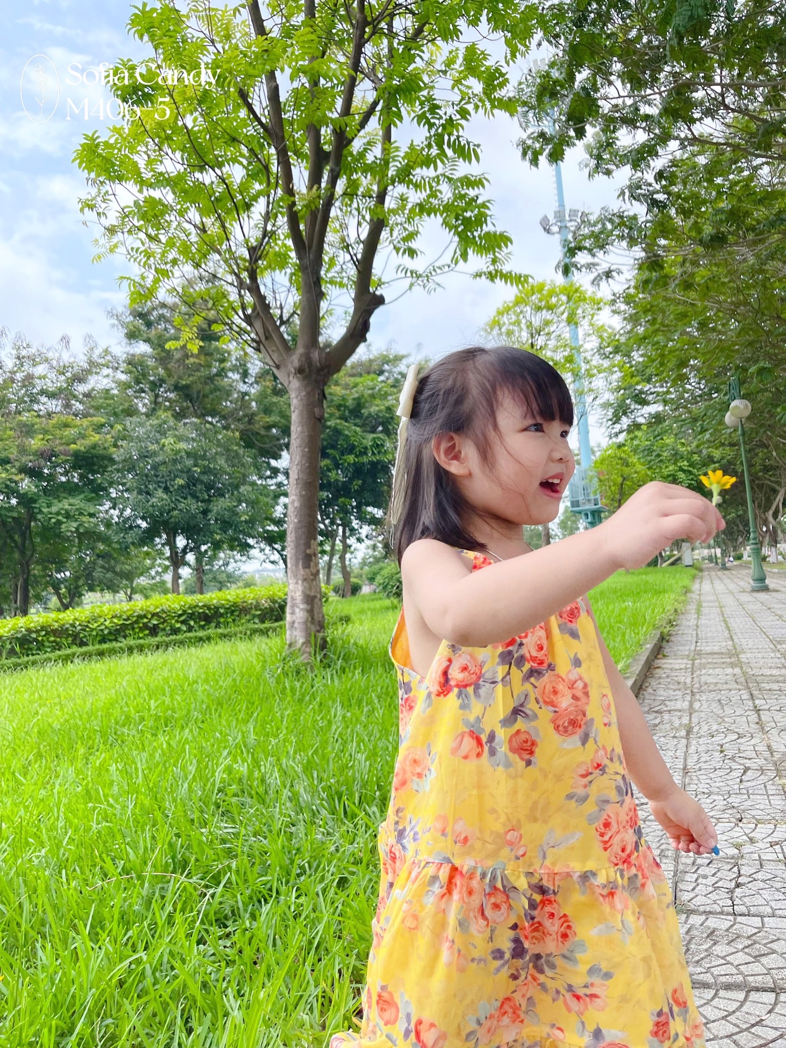 Váy hai dây voan Sofia Candy nhiều màu hoa - bảng màu 1
