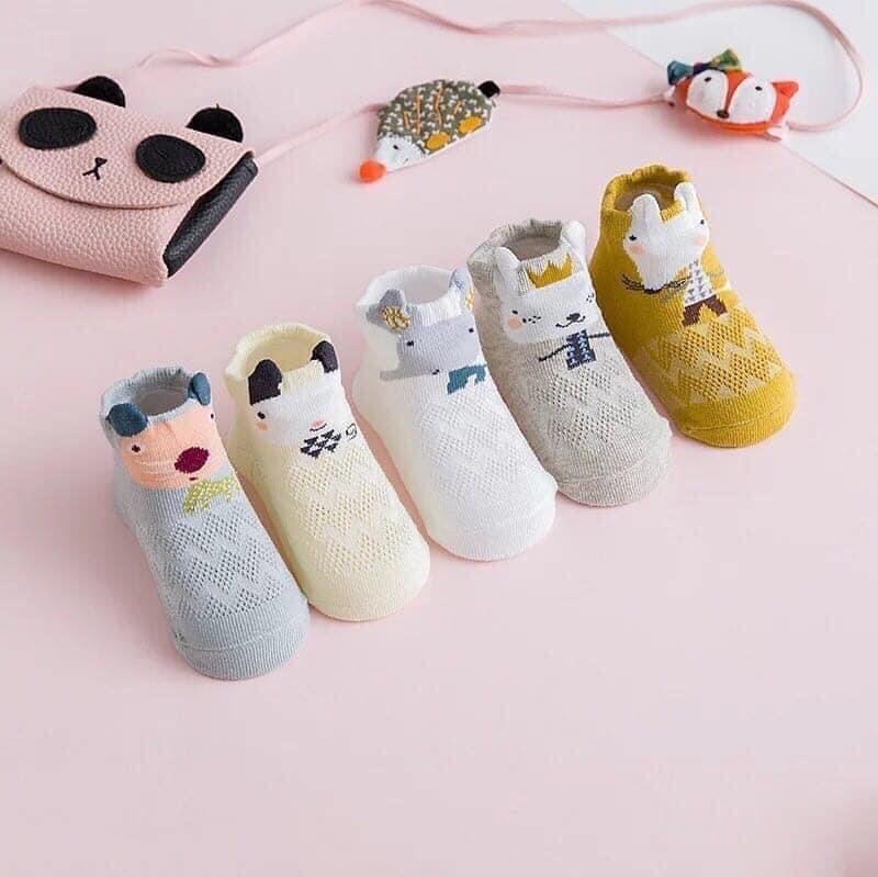 Set 5 tất lưới Tiny alpaca BTBG