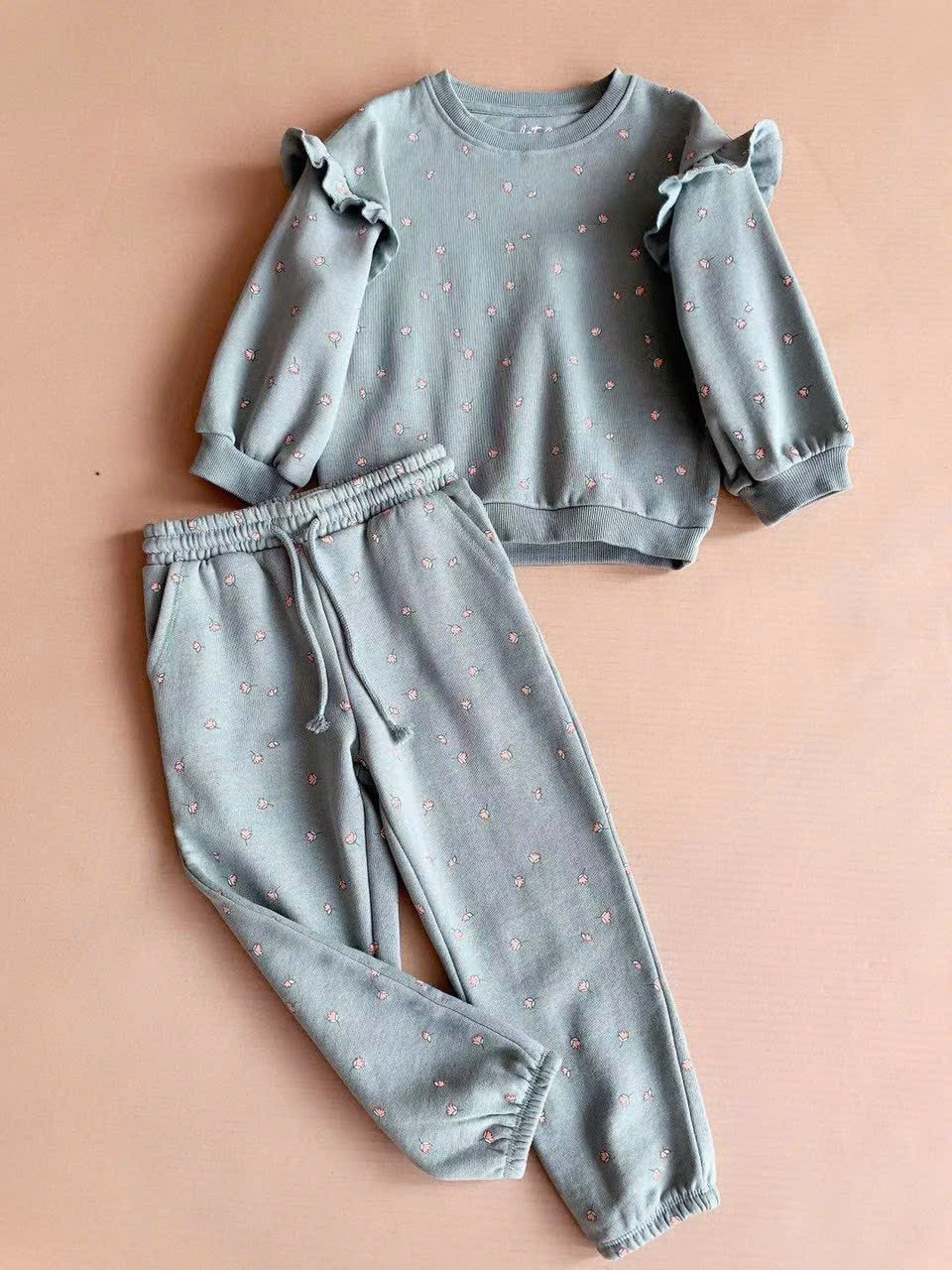 Bộ nỉ Castro dòng Nhí nhiều hình Bé Gái size 12m - 4y