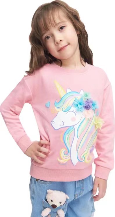 Áo nỉ Disney, Hollyland dư xịn nhiều màu bé gái size 3-12y