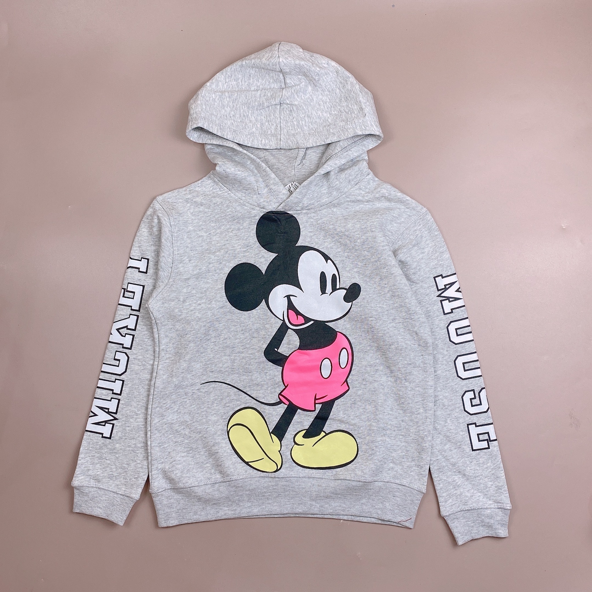 Áo hoodie nỉ bông / da cá HM nhiều hình BG size 6 - 14y