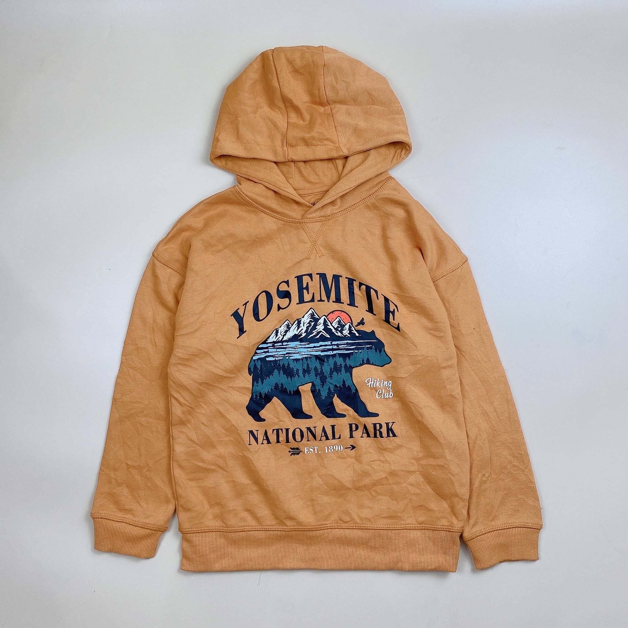 Áo nỉ hoodie Primark nhiều hình Bé Trai 2 - 15y