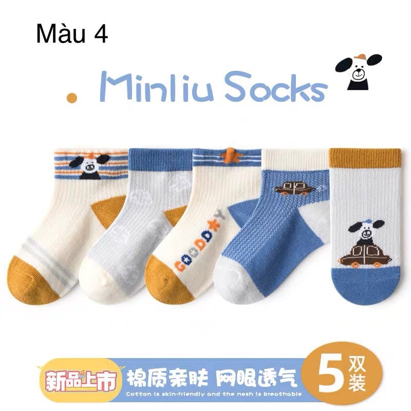 Set 5 tất lưới Minliu Kid Sock BT size 2-12y