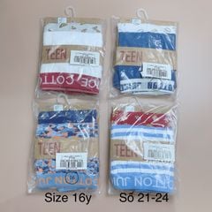 [16y] Set 2 quần sịp đùi Cotton Juice bé trai - (số 21-24)