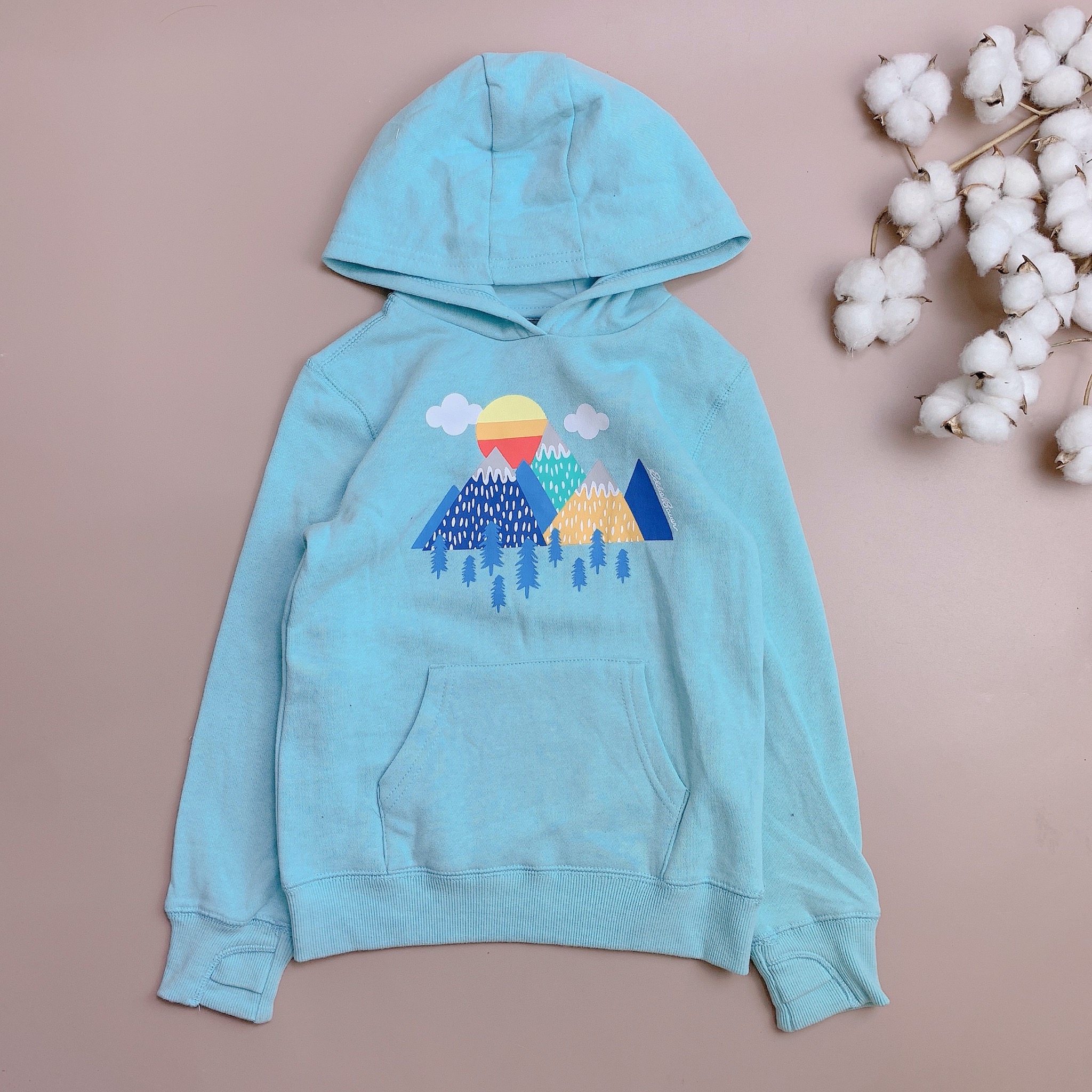 Áo nỉ bông Hoodie Eddie Bauer nhiều hình BG