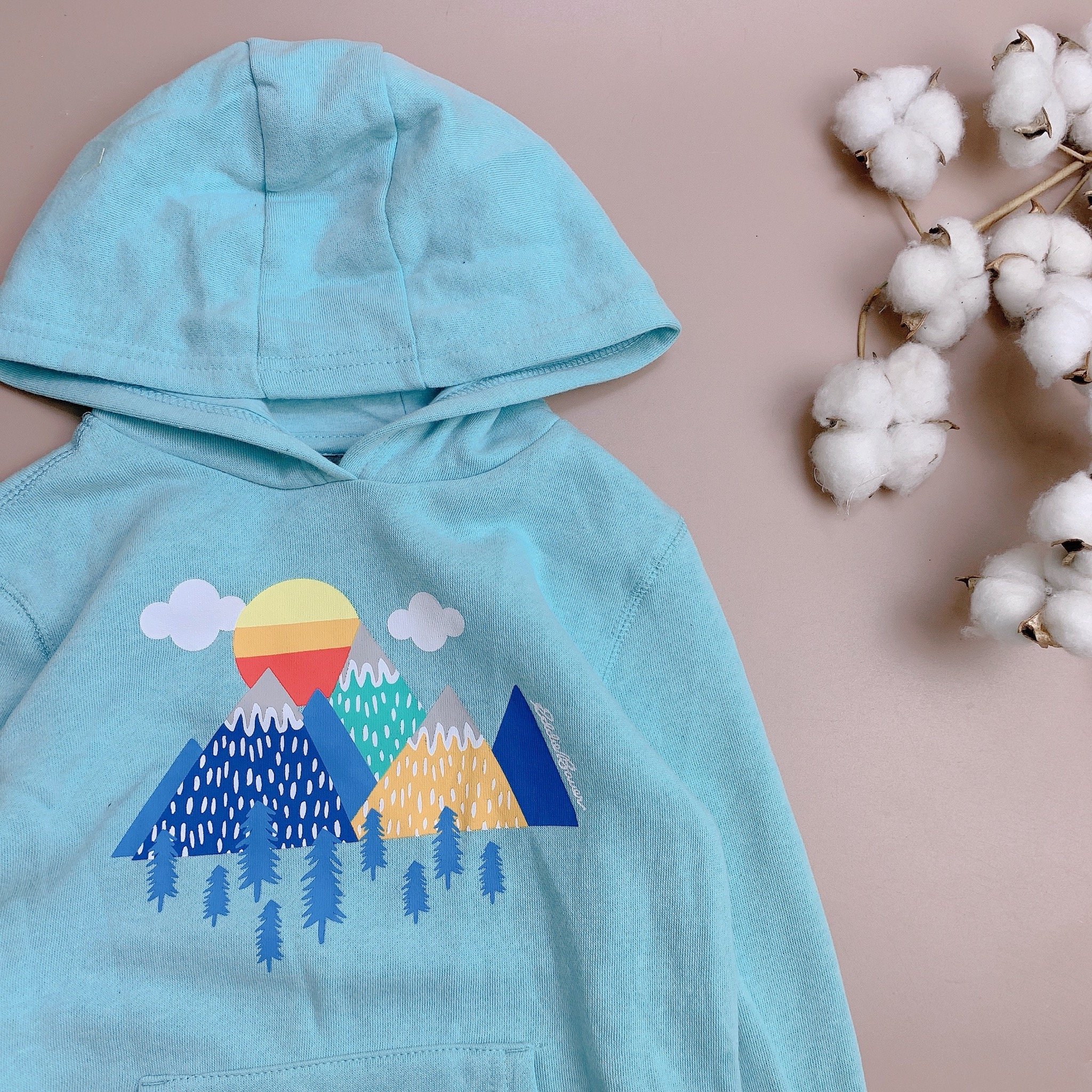 Áo nỉ bông Hoodie Eddie Bauer nhiều hình BG