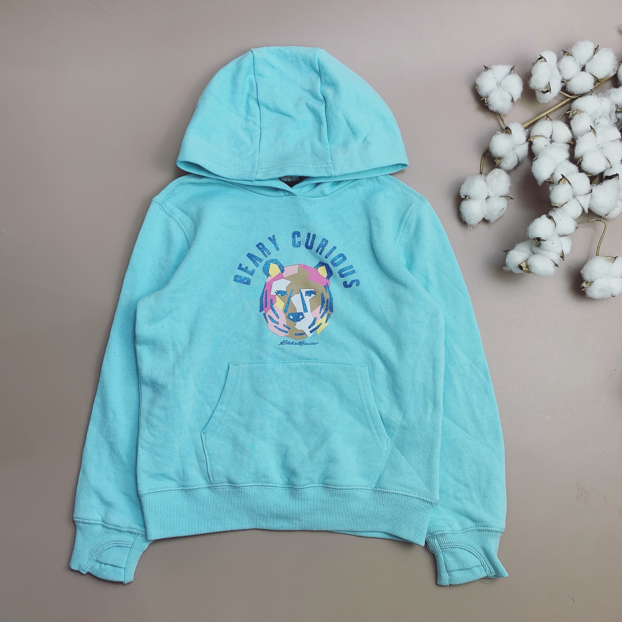 Áo nỉ bông Hoodie Eddie Bauer nhiều hình BG