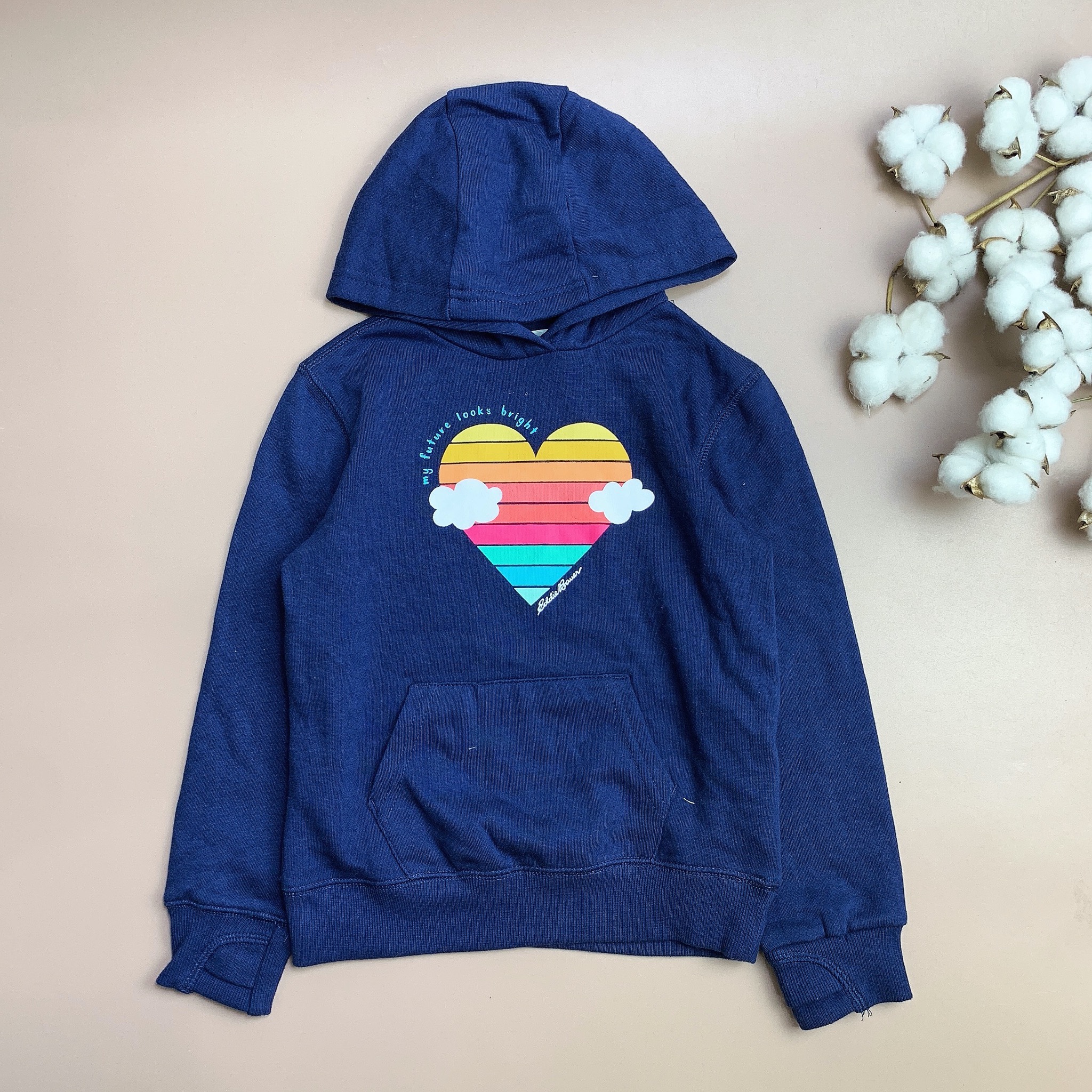 Áo nỉ bông Hoodie Eddie Bauer nhiều hình BG