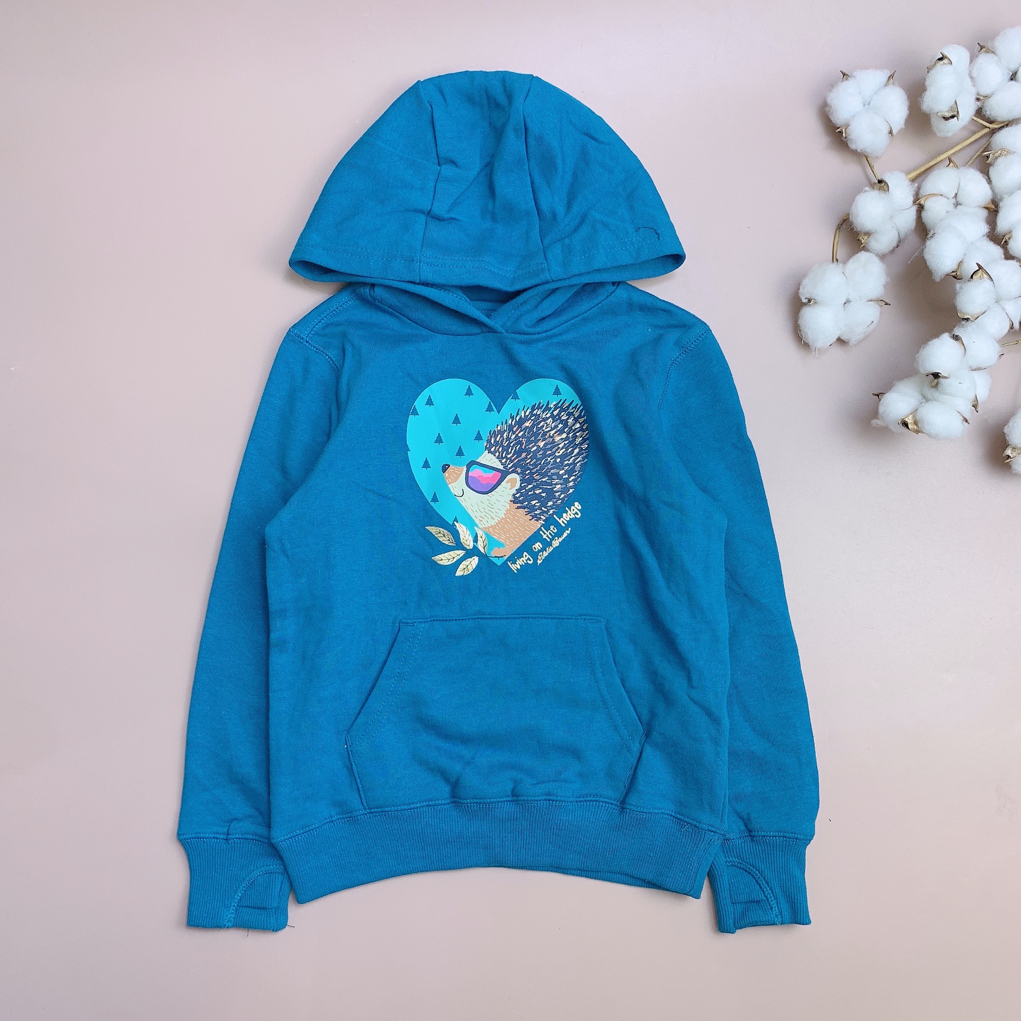 Áo nỉ bông Hoodie Eddie Bauer nhiều hình BG