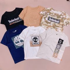 Áo cotton TBL nhiều màu BT