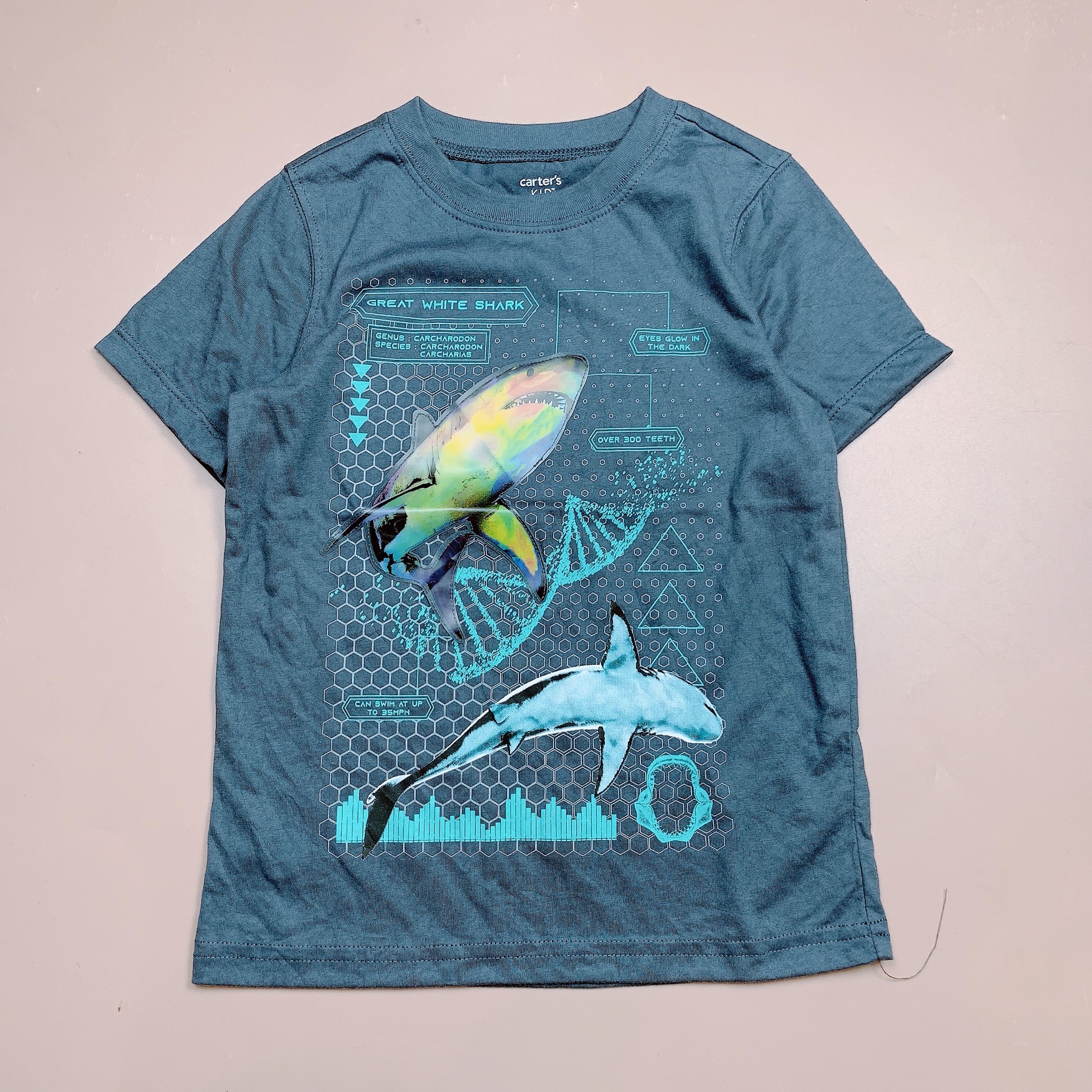 Áo cotton CTs Kids bé trai nhiều màu size 4-14y