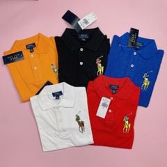 Áo polo cổ đức thêu ngựa nhiều màu BT size 5-16y