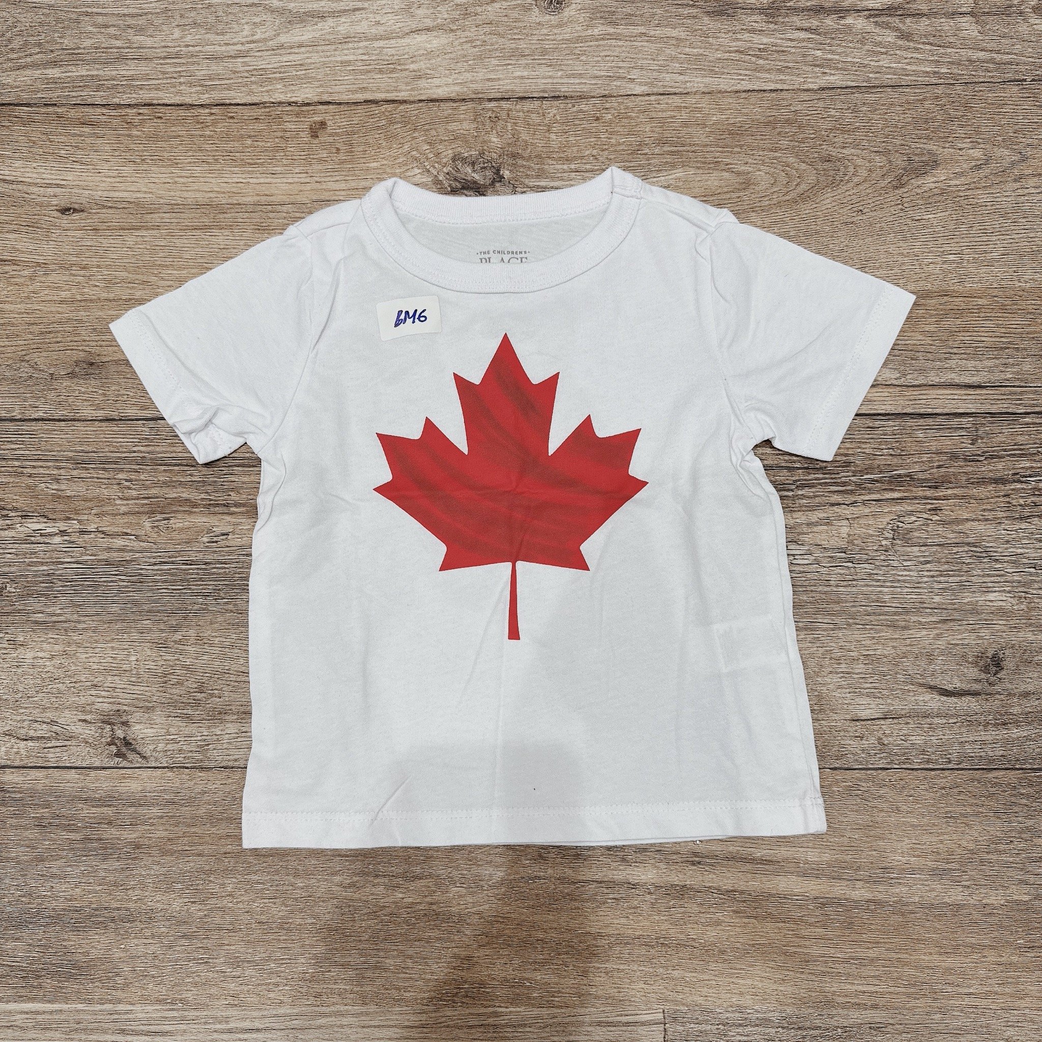 BM6 - Áo cotton cộc tay Place dòng Nhí nhiều mẫu Bé Trai size 12m - 6y