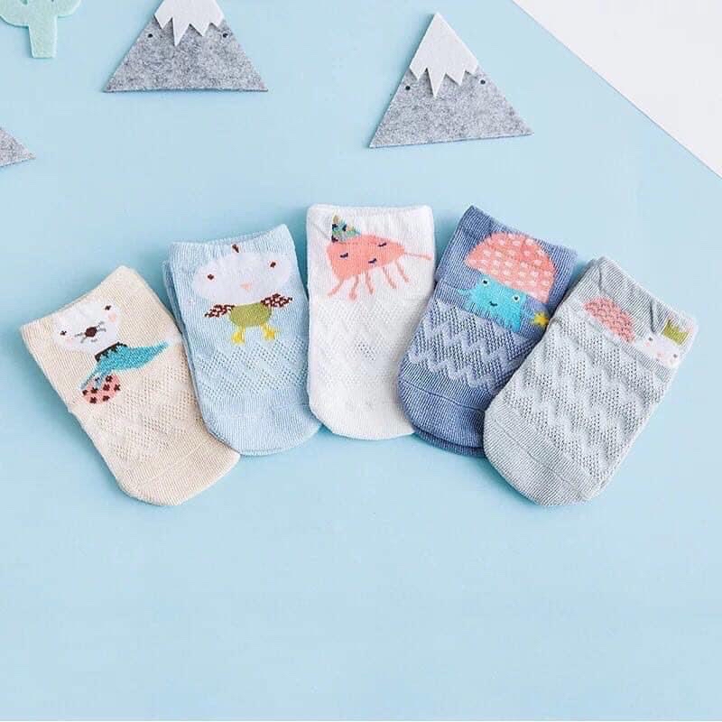 Set 5 tất lưới Tiny alpaca BTBG