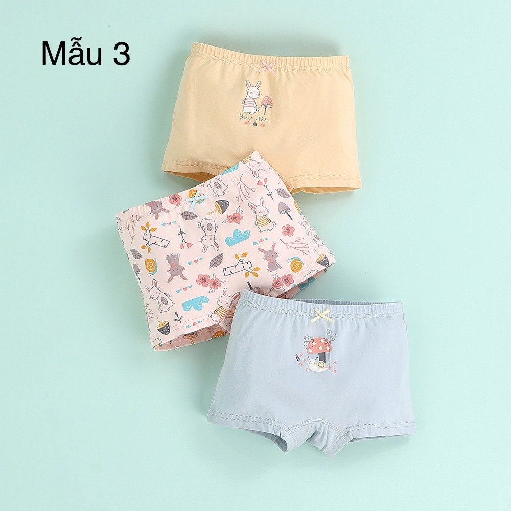 Set 3 chip đùi nhiều mẫu BG size 100 - 160