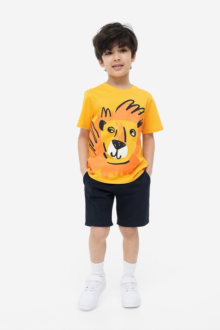 Bộ cotton HM nhiều hình BT dòng nhí size 2-10y