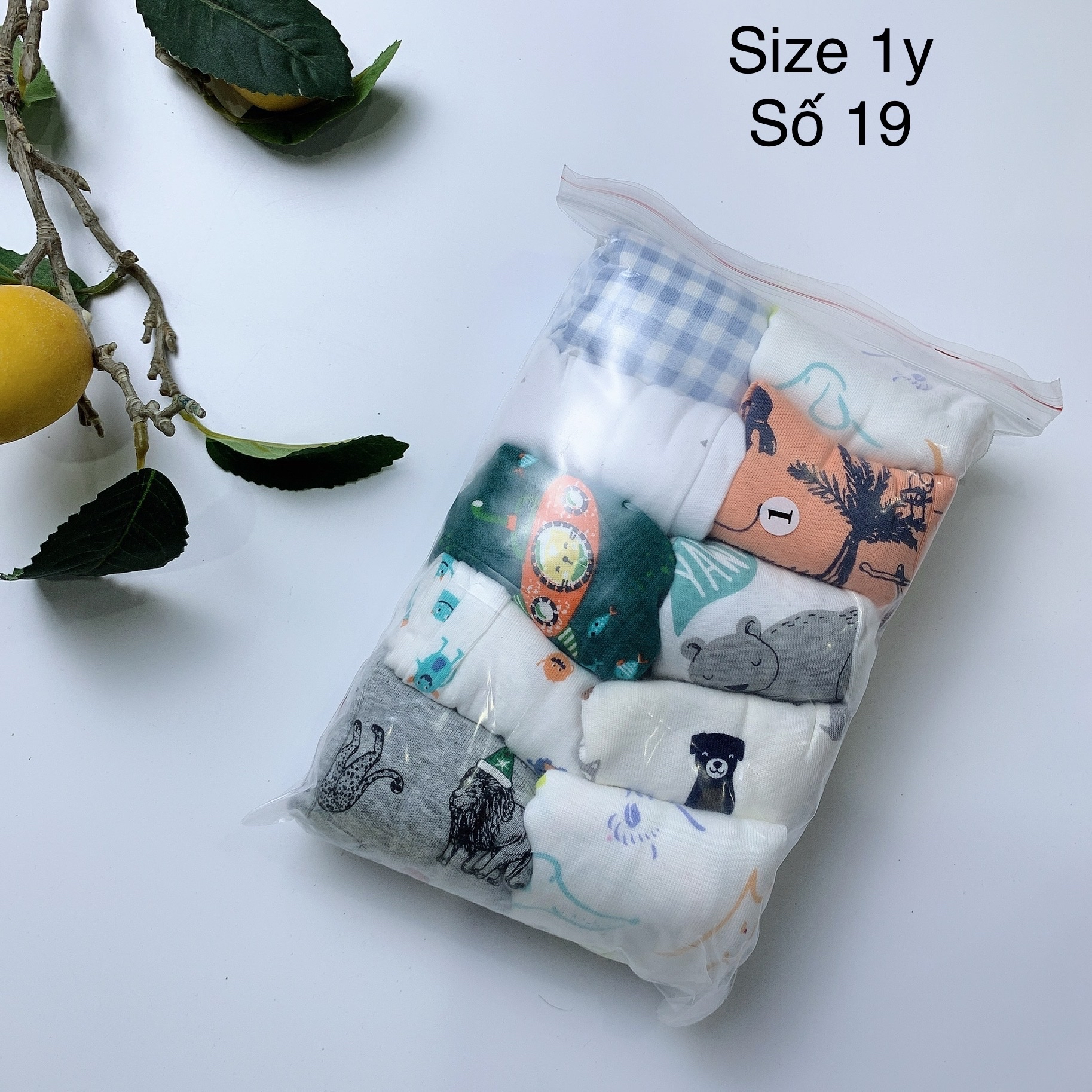 [1y] Quần chục bé trai size 1y - số 13 đến 24